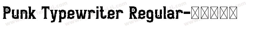 Punk Typewriter Regular字体转换
